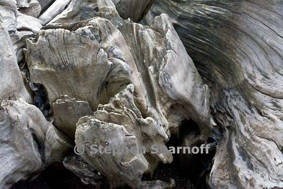 driftwood 3701 3 graphic